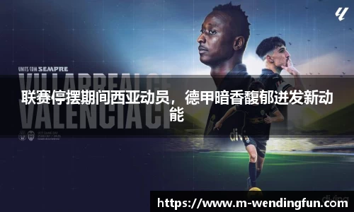 联赛停摆期间西亚动员，德甲暗香馥郁迸发新动能