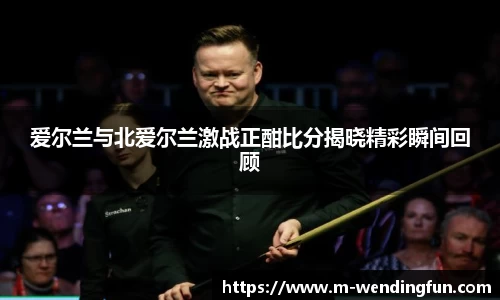 爱尔兰与北爱尔兰激战正酣比分揭晓精彩瞬间回顾